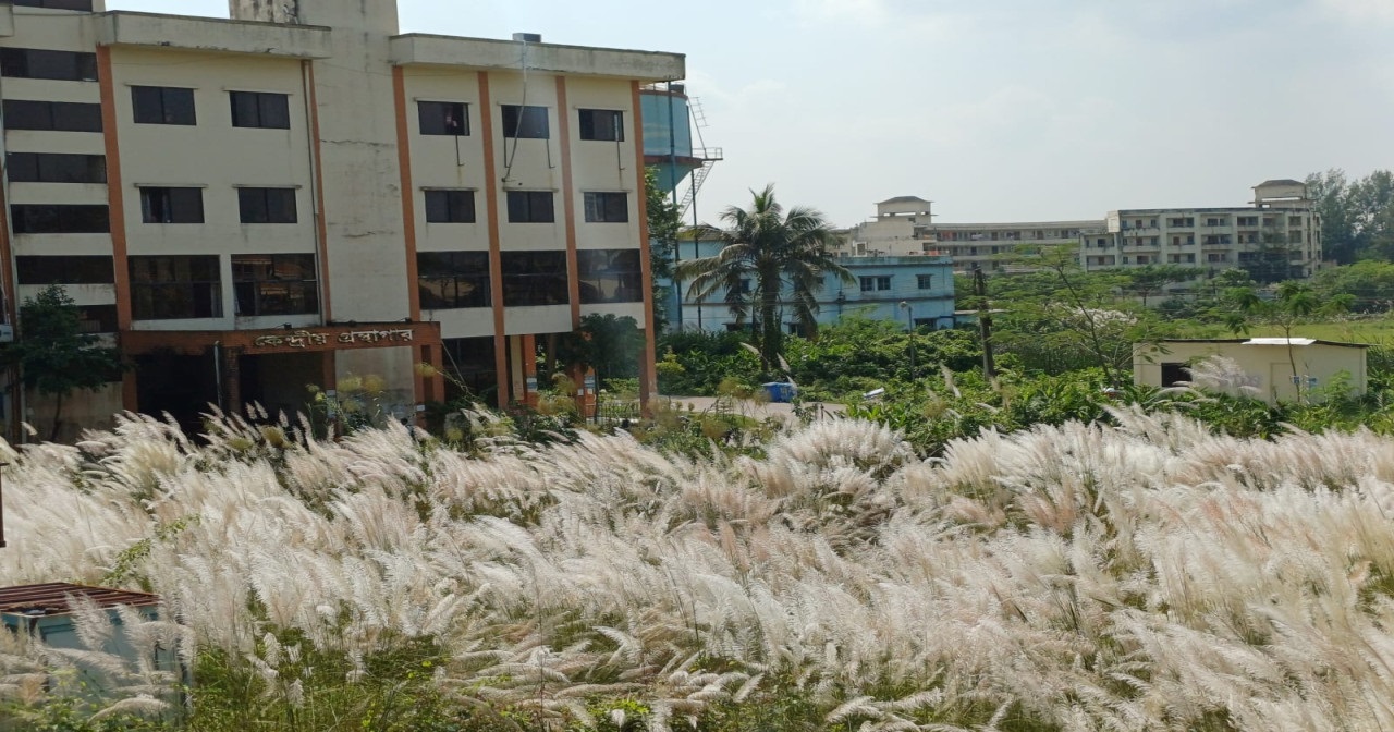 শীতে রূপ-লাবণ্যে ভরে ওঠে নোবিপ্রবি ক্যাম্পাস