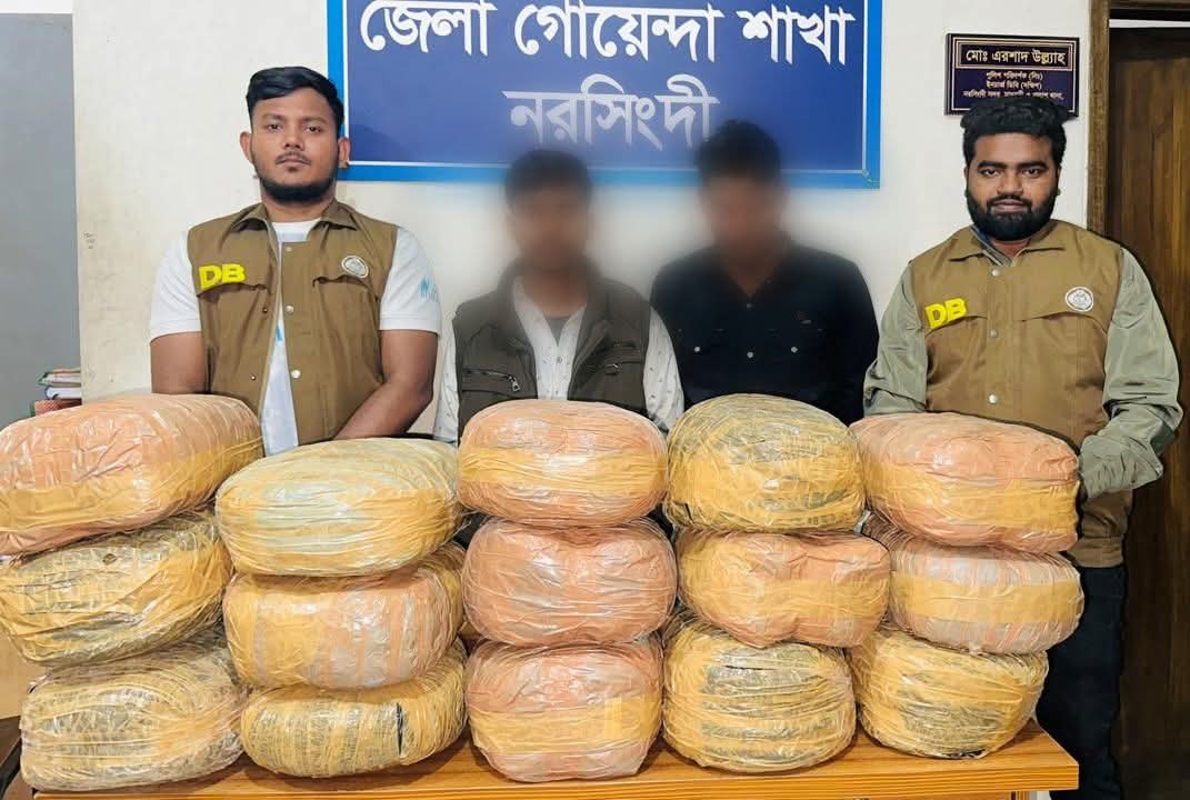 নরসিংদীতে ডিবির বড় অভিযান: ৩০ কেজি গাঁজাসহ দুই মাদক কারবারি গ্রেফতার