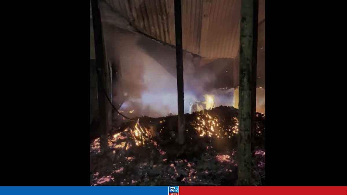 নাটোরে আগুনে গবাদিপশুসহ কৃষকের বসতবাড়ি পুড়ে ছাই