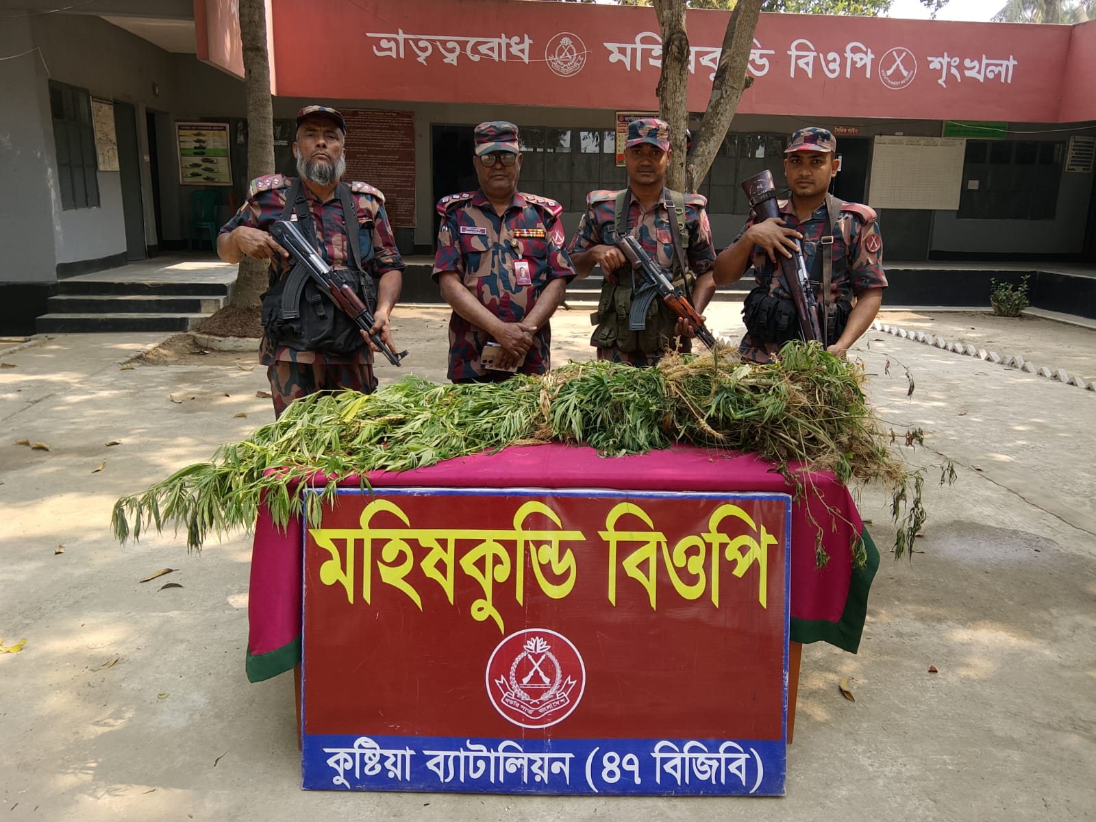 কুষ্টিয়া সীমান্তে বিজিবির সাঁড়াশি অভিযান: বিপুল পরিমাণ মাদক ও অবৈধ ঔষধ জব্দ